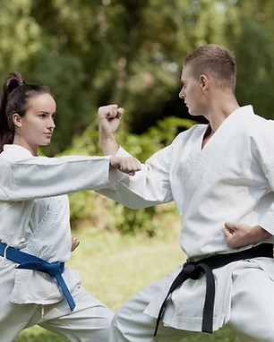 Martial Arts Practice