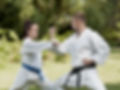 Martial Arts Training