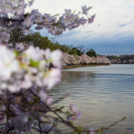 A Guide to Finding Peace in Nature During Spring