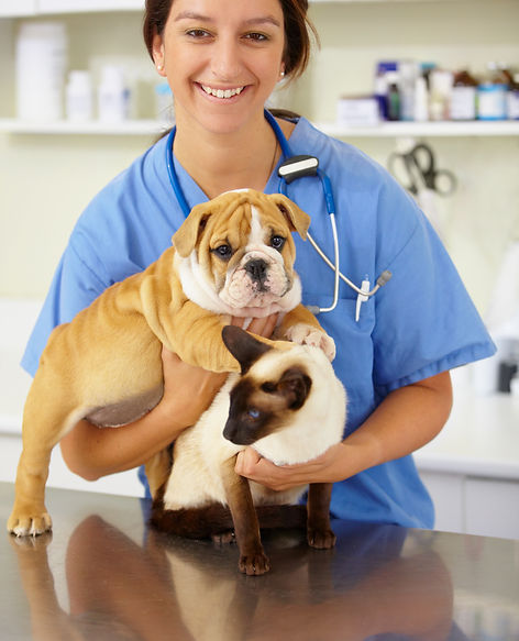 Veterinarian With Pets