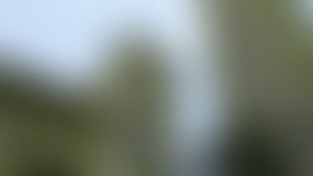 Leitfaden: Net Positive Hospitality Guideline