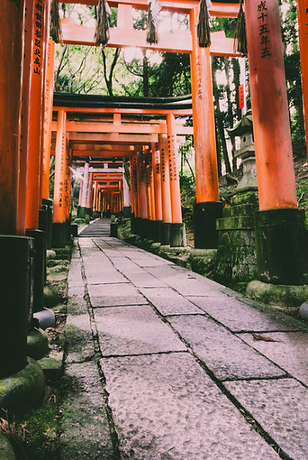 Shinto Pathway