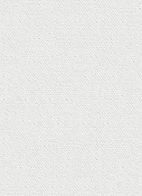 White Textured Canvas