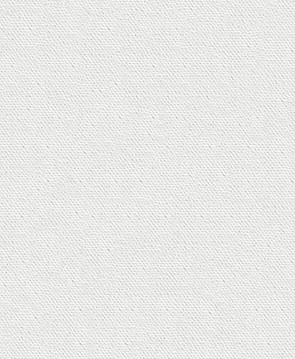 White Textured Canvas