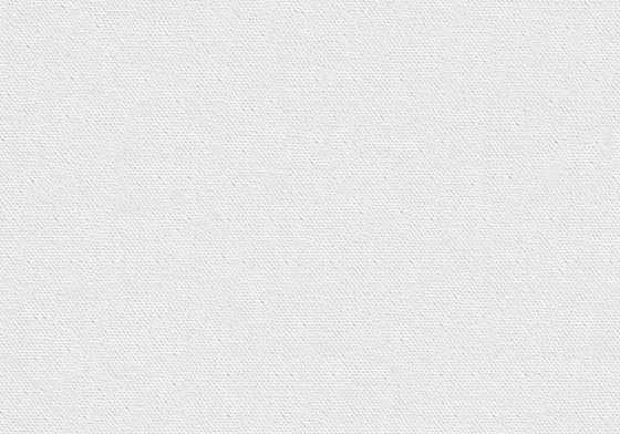 White Canvas Texture