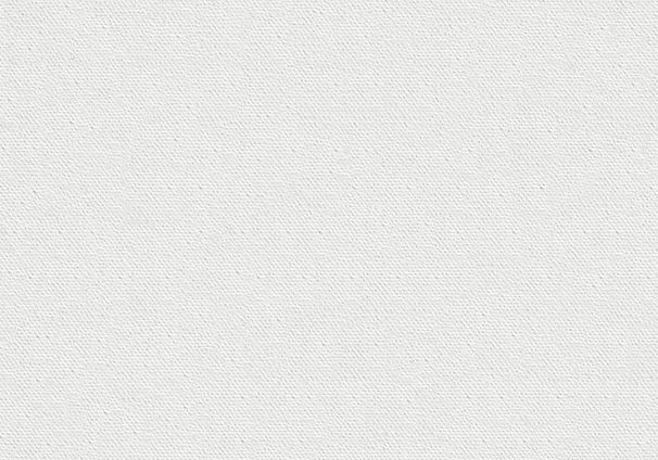 White Textured Canvas