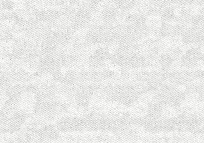 White Canvas Texture
