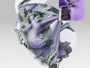 Digital Watermarking as an IP Enforcement Tool: Analyzing Legal Gaps in Recognition and Evidentiary Standards