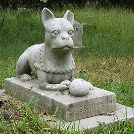 Portret kamienny na nagrobku – Dębno. Grawer w granicie lub fotografia na porcelanie, dopasowanie do płyty, montaż i ochrona przed UV.