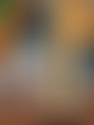 Tarla ve Hisseli Parsellere Yerleştirilebilecek Yapılar: Tekerlekli Tiny House, Bungalow, Ahşap Ev ve Karavan Rehberi