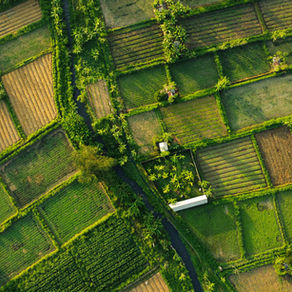 SUCCESS STORY: - Agricultural Expansion – R8 Million Structured Finance Strategy