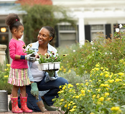 Planting Flowers