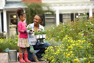 Planting Flowers