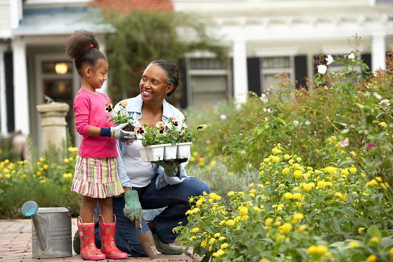 Planting Flowers