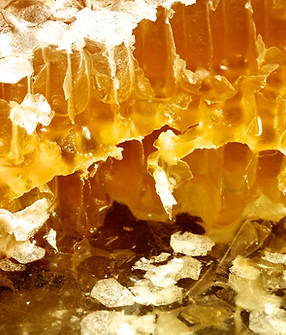 pierre-chatel-innocenti-Lk-nu_hX6ms-unsplash 2.png