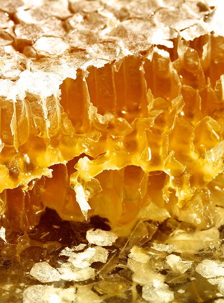 Raw Honeycomb