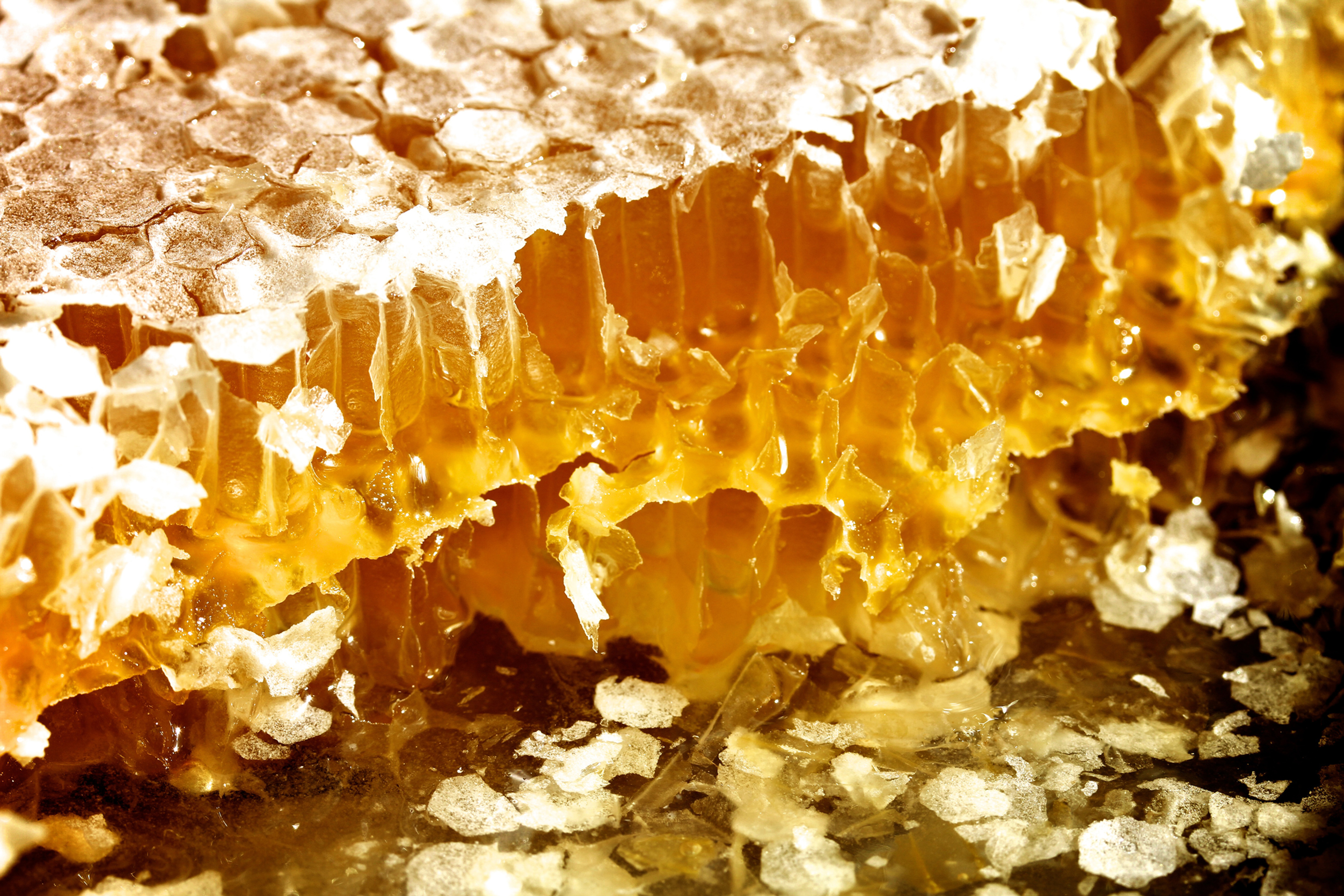 Miel de Abejas