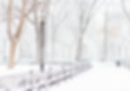 Winter Park Scene