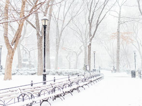  Parashat Vaera: Redemption and Responsibility: The Voice Fear Tried to Silence