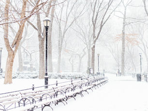 Have a Realistic Holiday