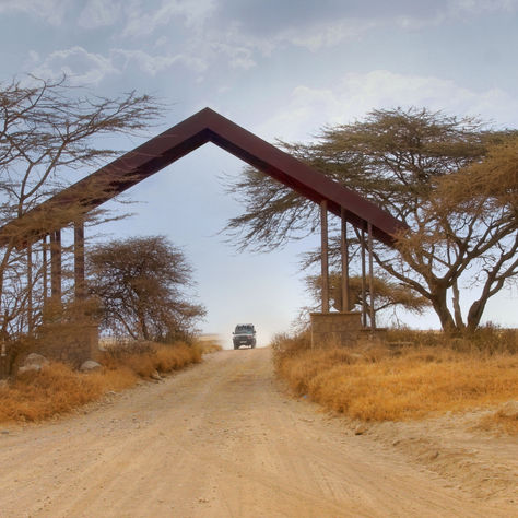 24 Hours in the Maasai Mara – In Pictures