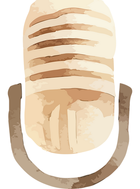 Vintage Microphone Illustration