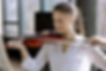Violino