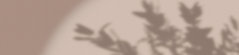 Silhouette d'ombre botanique
