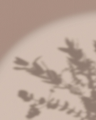 Flower Shadow
