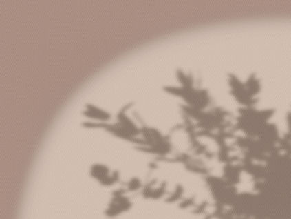 Evergreen Media: Growing Charleston Businesses