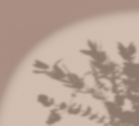 Flower Shadow