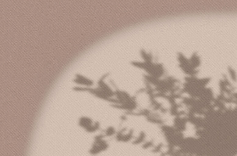 Ombre de fleur
