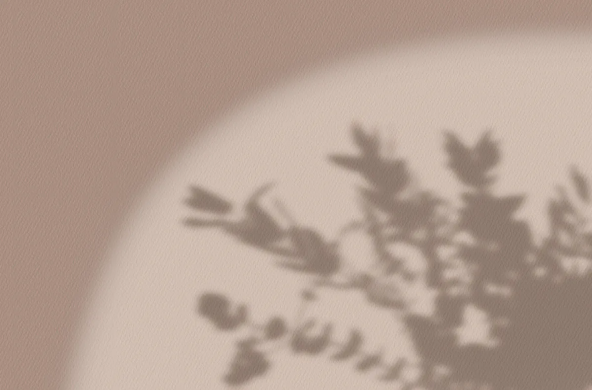 Wood Sorrel Wellness
