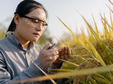 Crop inspection