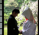 花嫁 和装 結婚式 白無垢 新郎新婦