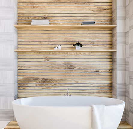 Modern Bathtub