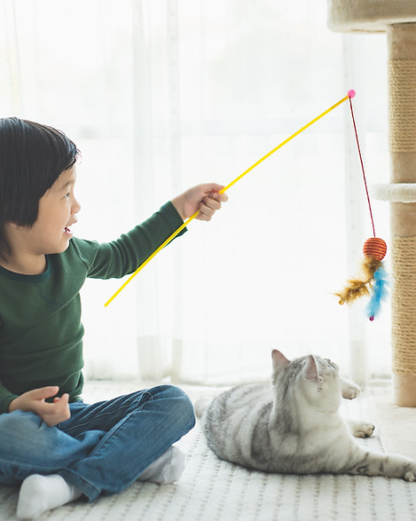 gosse, jouer, à, chat