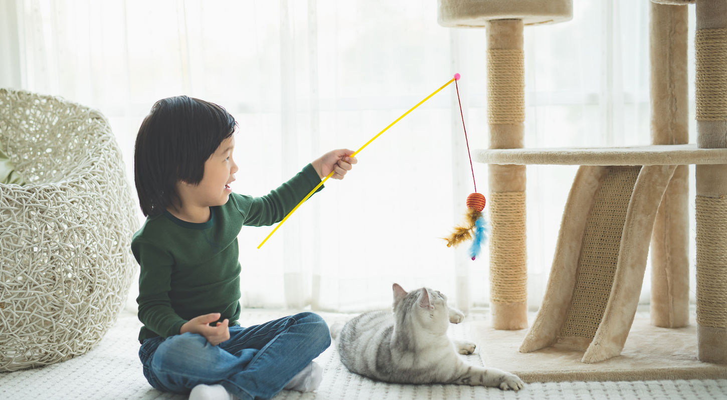 猫と遊ぶ子供