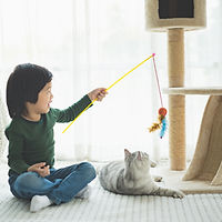 Kid Playing With Cat