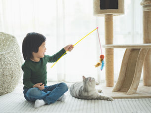 Crea un Espacio de Juego en el Interior: Cómo Mantener a tu Gato Entretenido y Seguro Durante las Horas de Calor