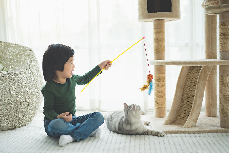 Kid Playing With Cat