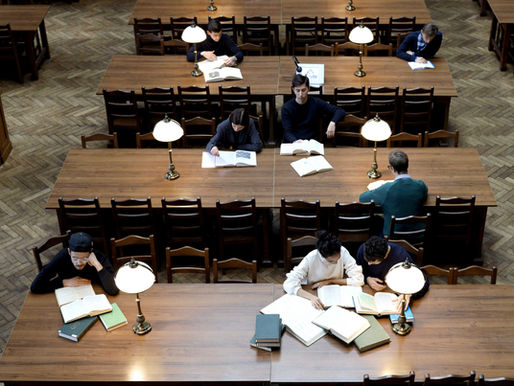 Efficiency of the Private Surety System: A Comparative Analysis