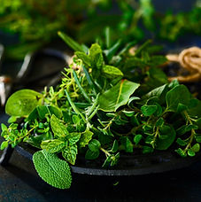 close-up image of herbs