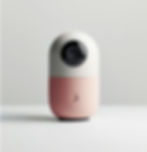 Hidden Cameras