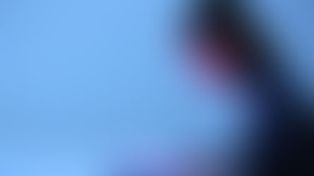 איך לבנות אתר בוויקס?