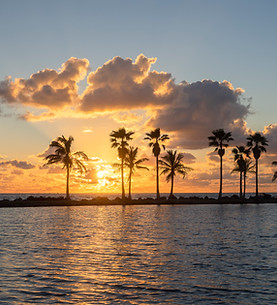 Sunset Over Palms
