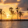 Sunset Over Palms
