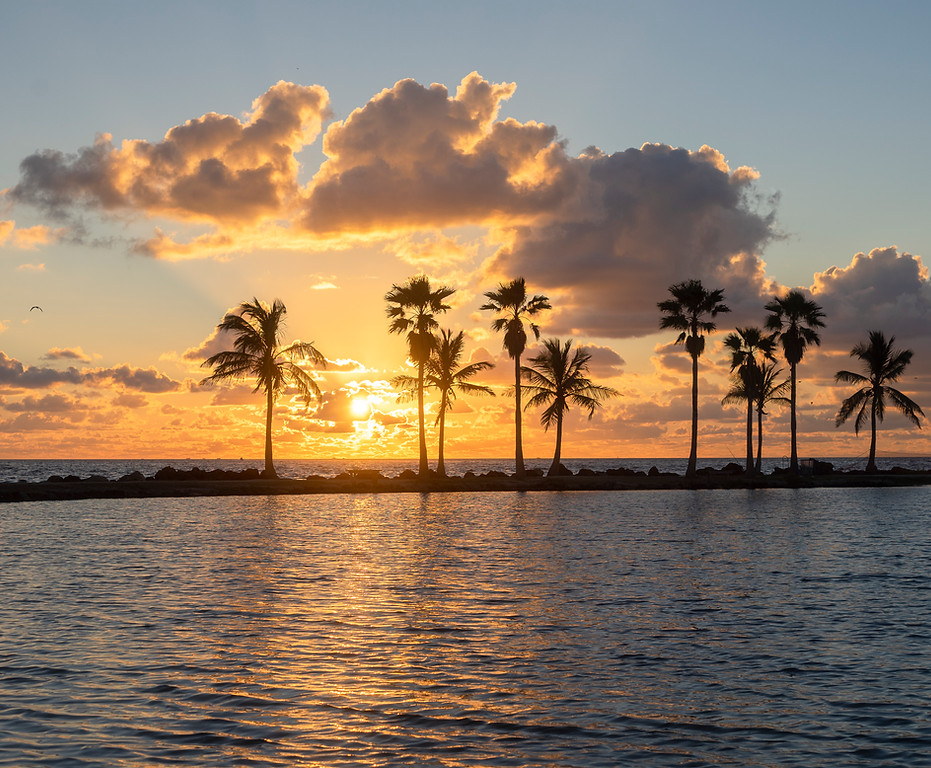 Sunset Over Palms