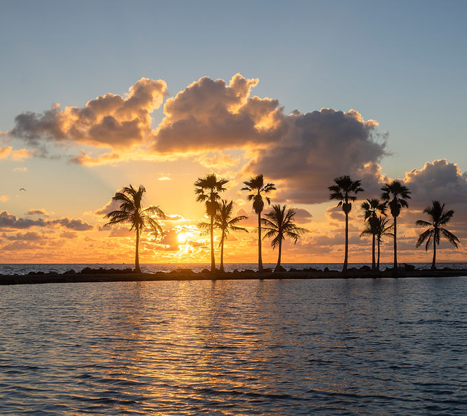 Sunset Over Palms