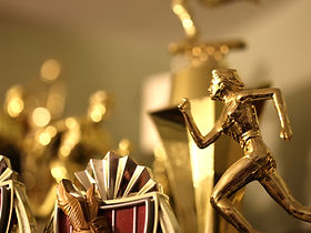 Collection of Trophies